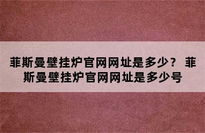 菲斯曼壁挂炉官网网址是多少？ 菲斯曼壁挂炉官网网址是多少号